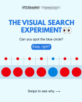 The Visual Search Experiment.pdf
